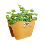 vibia campana flower bridge 40cm honinggeel